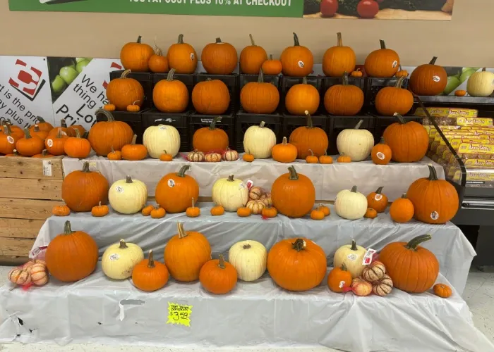 Pumpkin display at Memphis Cash Saver.