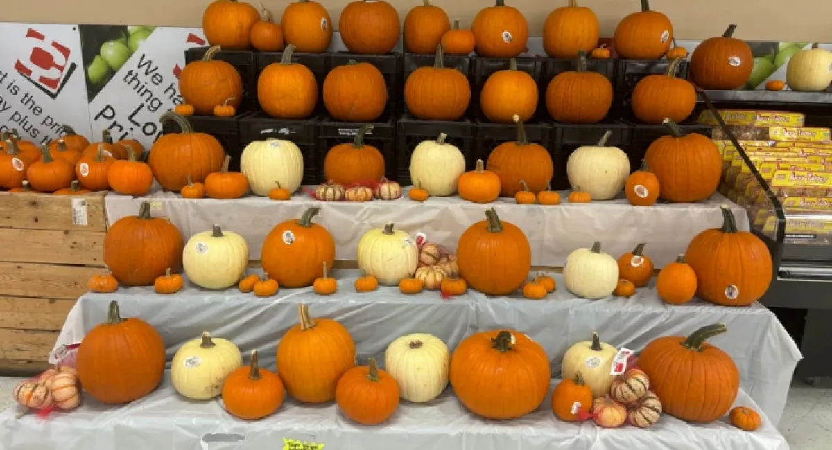 Pumpkin display at Memphis Cash Saver.