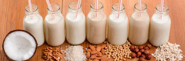 Milk Options